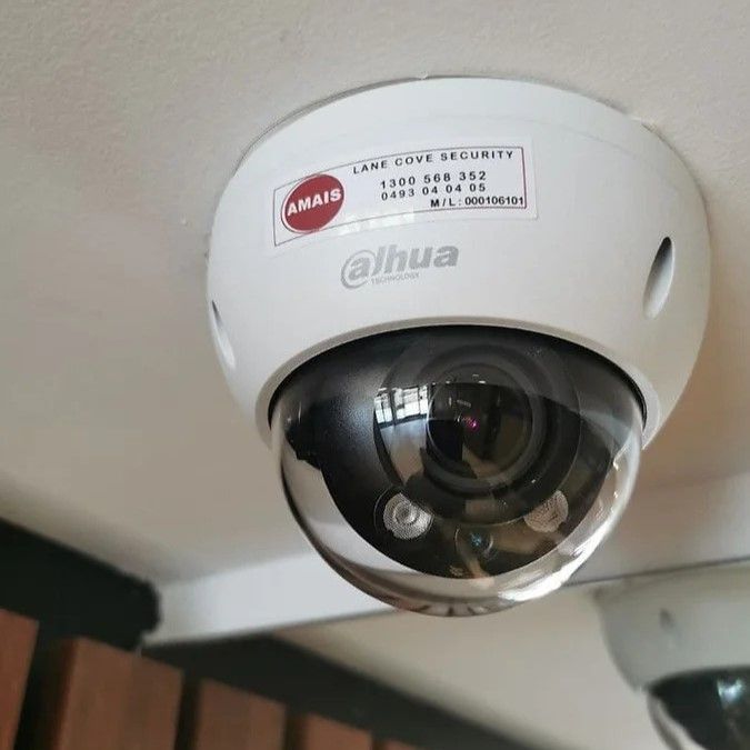 Smart IP Cameras